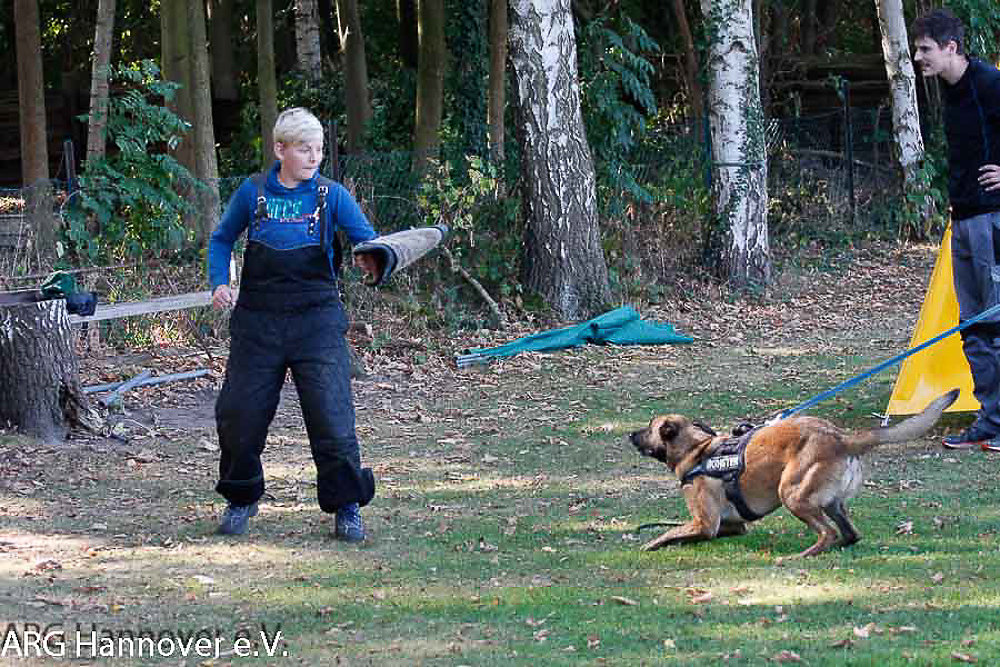 ARG-Jugend2016-52-von-80.jpg