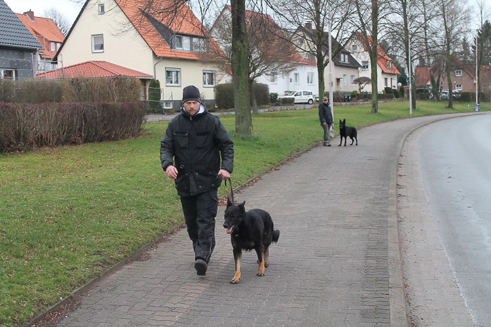 Teilnehmer BH Prüfung