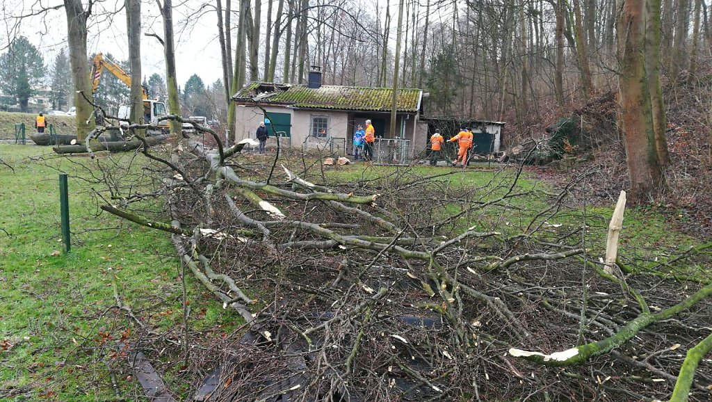 Sturm "Frederike"